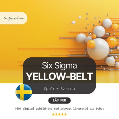 six sigma yellow belt svenska